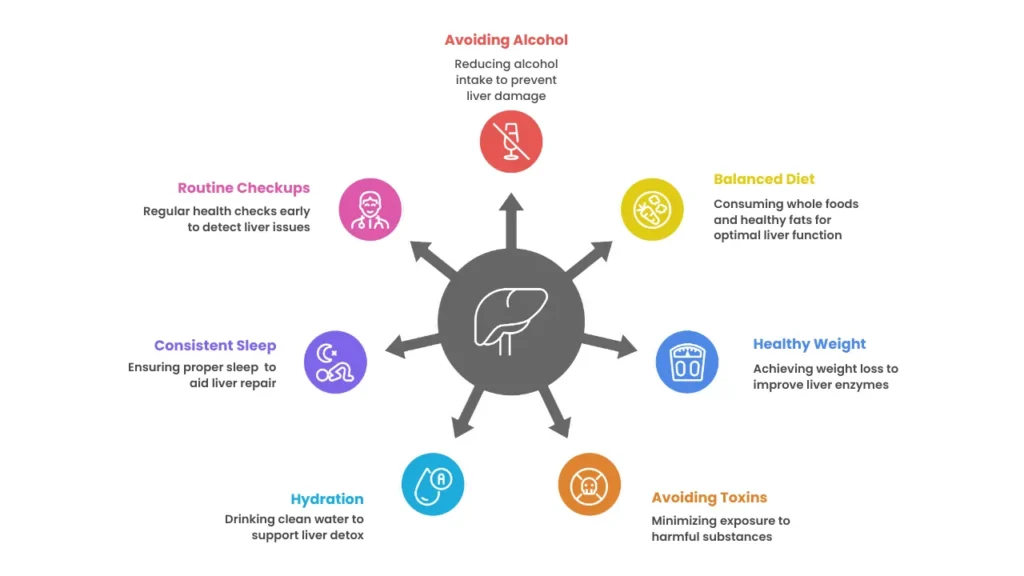 Infographic highlighting key habits for liver health including avoiding alcohol, balanced diet, maintaining healthy weight, avoiding toxins, hydration, consistent sleep, and regular checkups to complement exercise for liver health