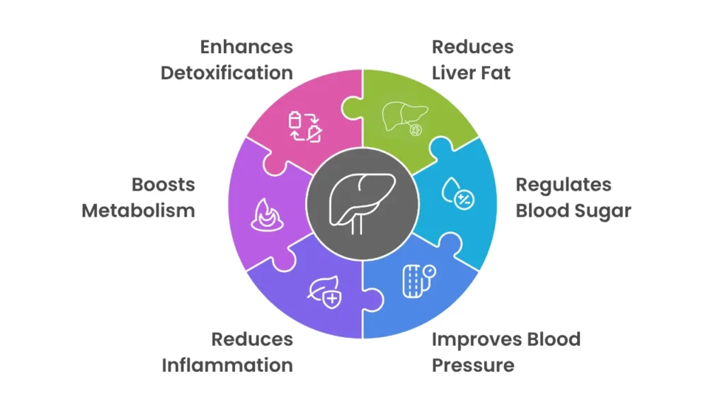 Circular infographic showing benefits of exercise for liver health: enhances detoxification, reduces liver fat, regulates blood sugar, improves blood pressure, reduces inflammation, and boosts metabolism.